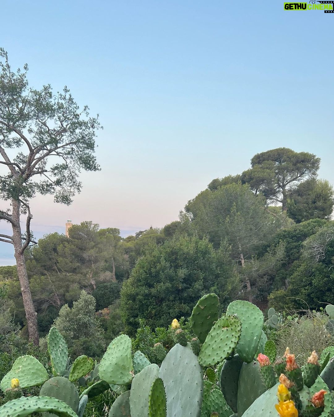 Park Bo-gum Instagram - NICE TO BE HERE! Nice, France