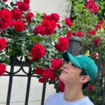 Park Bo-gum Instagram – “밝아져라“ ”맑아져라“ 
기쁨 한 송이 받으시고 내내 행복하십시오🌹
