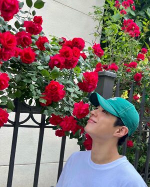 Park Bo-gum Instagram - “밝아져라“ ”맑아져라“ 
기쁨 한 송이 받으시고 내내 행복하십시오🌹