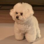 Park Gyu-young Instagram - 😶‍🌫️