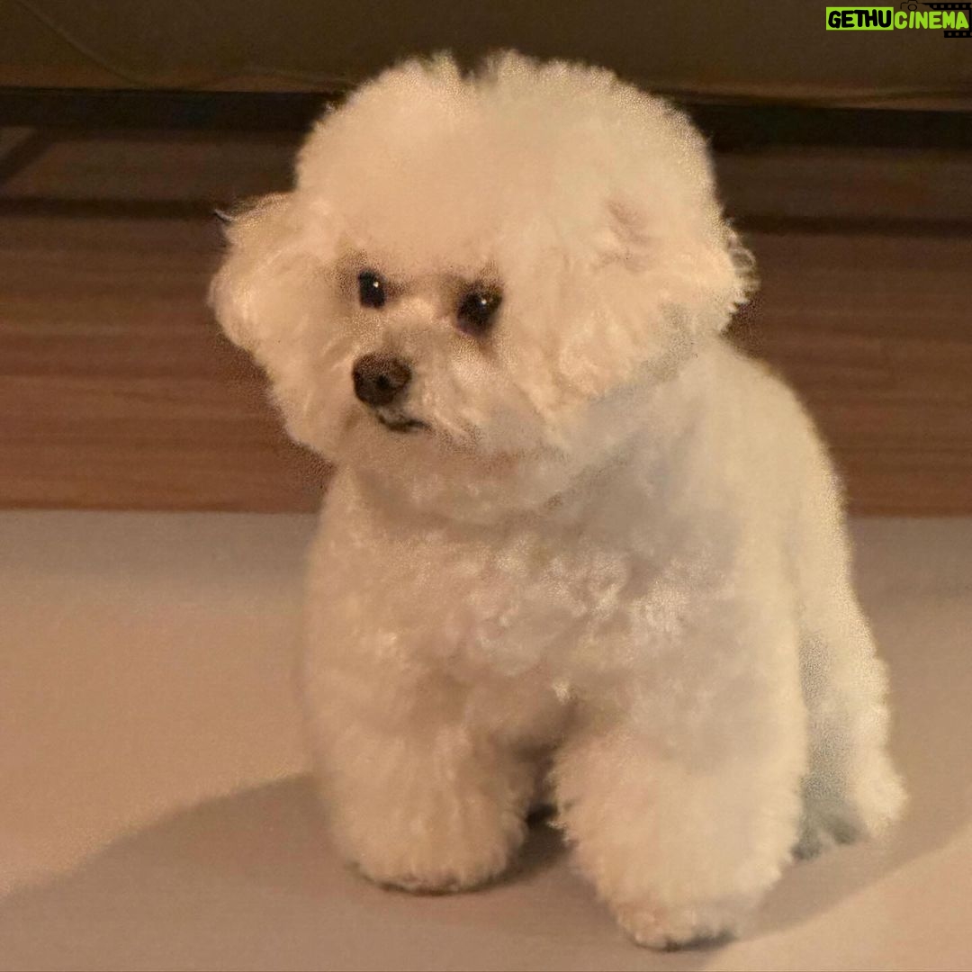 Park Gyu-young Instagram - πΆβπ«οΈ