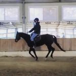Park Hyung-sik Instagram - 🐴😁