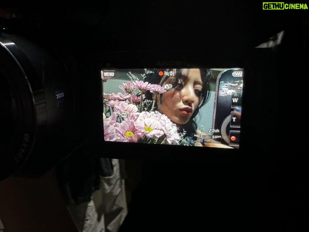 Park Ji-hyo Instagram - 킬린미!킬린미!꿋🌸