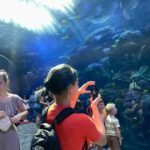 Park Ji-hyo Instagram - 🐠🐠🐠