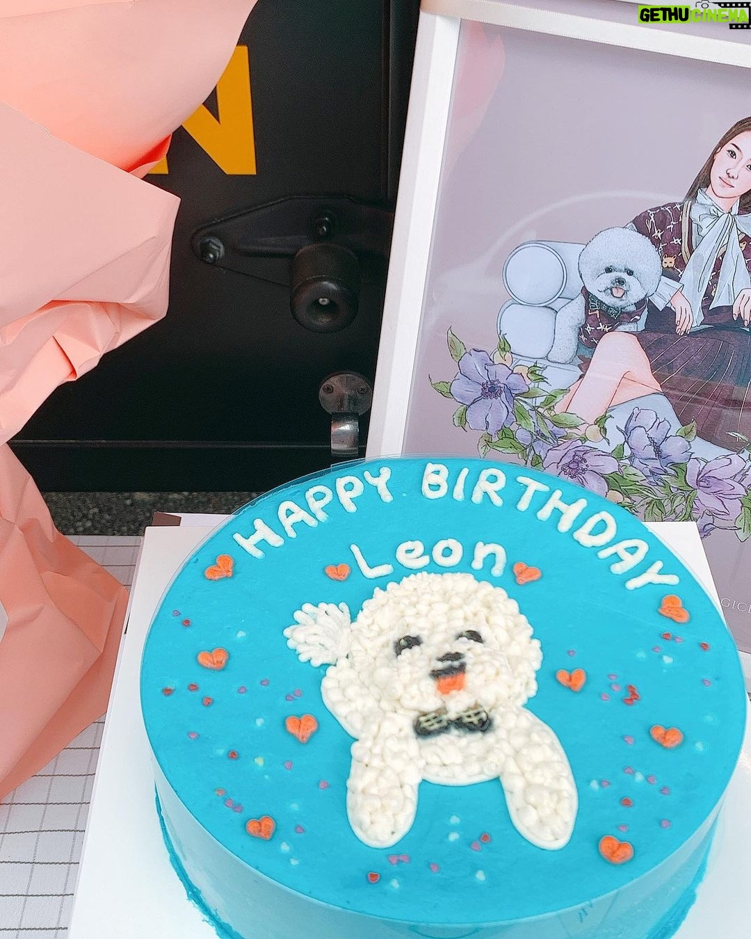Park Min-young Instagram - 진짜 내가 아무리 생각해도 콩알들은 최고인듯 love you to the moon and back♥️ #pmyfanunion