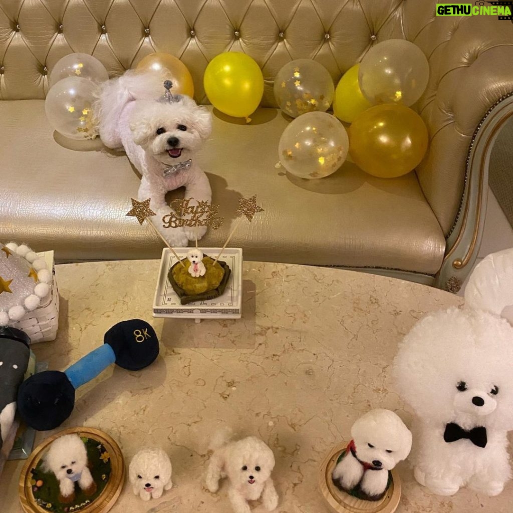 Park Min-young Instagram - 사랑하는 나의레옹이💛 happy 5th birthday 축하와 선물 편지 모두 잘받았어요 우리 레옹이까지 챙겨주셔서 넘나 감사해요. 그리고 더 사랑스러운 내 콩알들, 엄청나게 보고싶은밤입니다