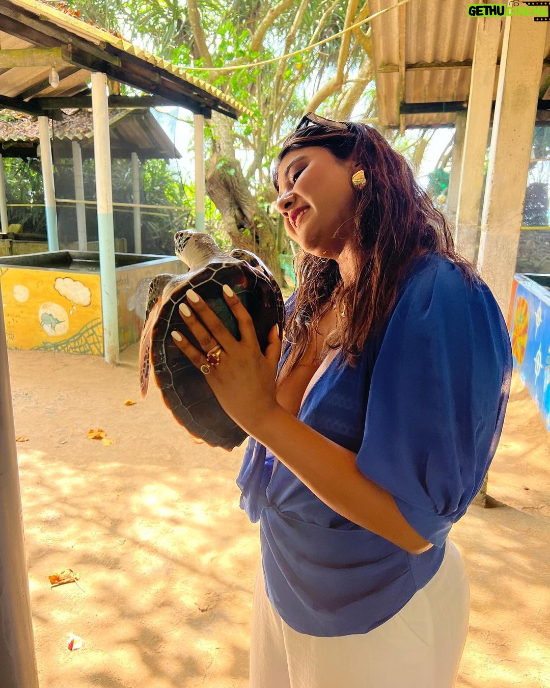 Parno Mittra - 36.2K Likes - The @galbokkaseaturtle is a turtle conservation centre.. they rescue , train and help these beautiful creatures back into the ocean. As humans we can help in many ways but we fail to. Let’s do our bit .