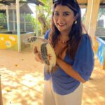 Parno Mittra Instagram - The @galbokkaseaturtle is a turtle conservation centre.. they rescue , train and help these beautiful creatures back into the ocean. As humans we can help in many ways but we fail to. Let’s do our bit .
