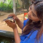 Parno Mittra Instagram - The @galbokkaseaturtle is a turtle conservation centre.. they rescue , train and help these beautiful creatures back into the ocean. As humans we can help in many ways but we fail to. Let’s do our bit .