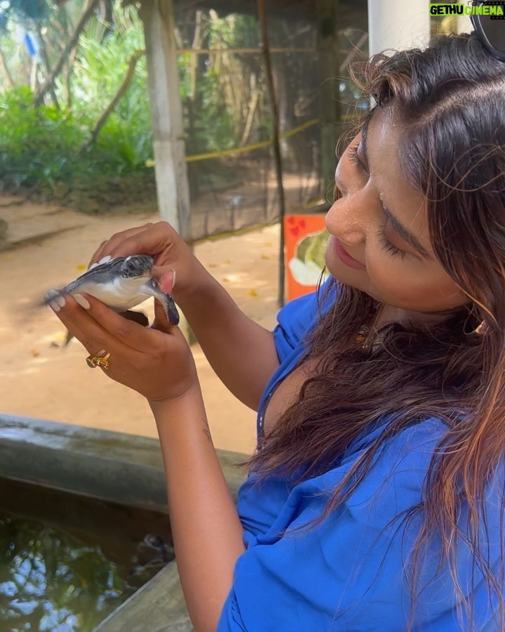 Parno Mittra - 36.2K Likes - The @galbokkaseaturtle is a turtle conservation centre.. they rescue , train and help these beautiful creatures back into the ocean. As humans we can help in many ways but we fail to. Letās do our bit .
