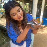 Parno Mittra Instagram - The @galbokkaseaturtle is a turtle conservation centre.. they rescue , train and help these beautiful creatures back into the ocean. As humans we can help in many ways but we fail to. Let’s do our bit .