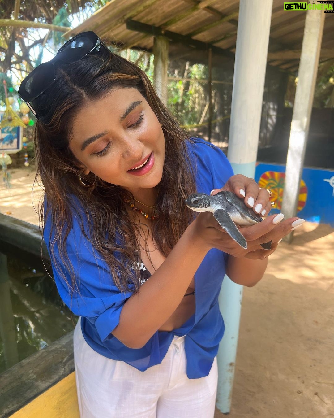Parno Mittra - 36.2K Likes - The @galbokkaseaturtle is a turtle conservation centre.. they rescue , train and help these beautiful creatures back into the ocean. As humans we can help in many ways but we fail to. Let’s do our bit .