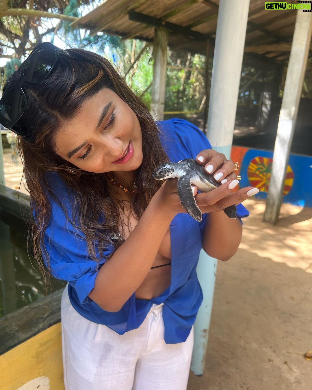 Parno Mittra - 36.2K Likes - The @galbokkaseaturtle is a turtle conservation centre.. they rescue , train and help these beautiful creatures back into the ocean. As humans we can help in many ways but we fail to. Let’s do our bit .