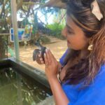 Parno Mittra Instagram - The @galbokkaseaturtle is a turtle conservation centre.. they rescue , train and help these beautiful creatures back into the ocean. As humans we can help in many ways but we fail to. Let’s do our bit .