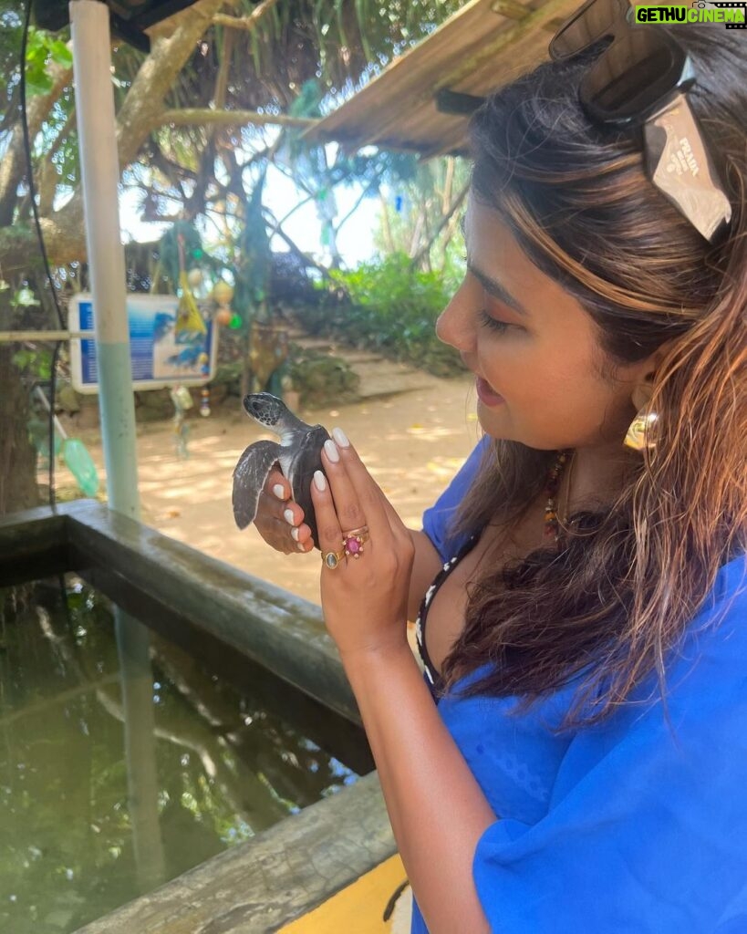Parno Mittra Instagram - The @galbokkaseaturtle is a turtle conservation centre.. they rescue , train and help these beautiful creatures back into the ocean. As humans we can help in many ways but we fail to. Let’s do our bit .