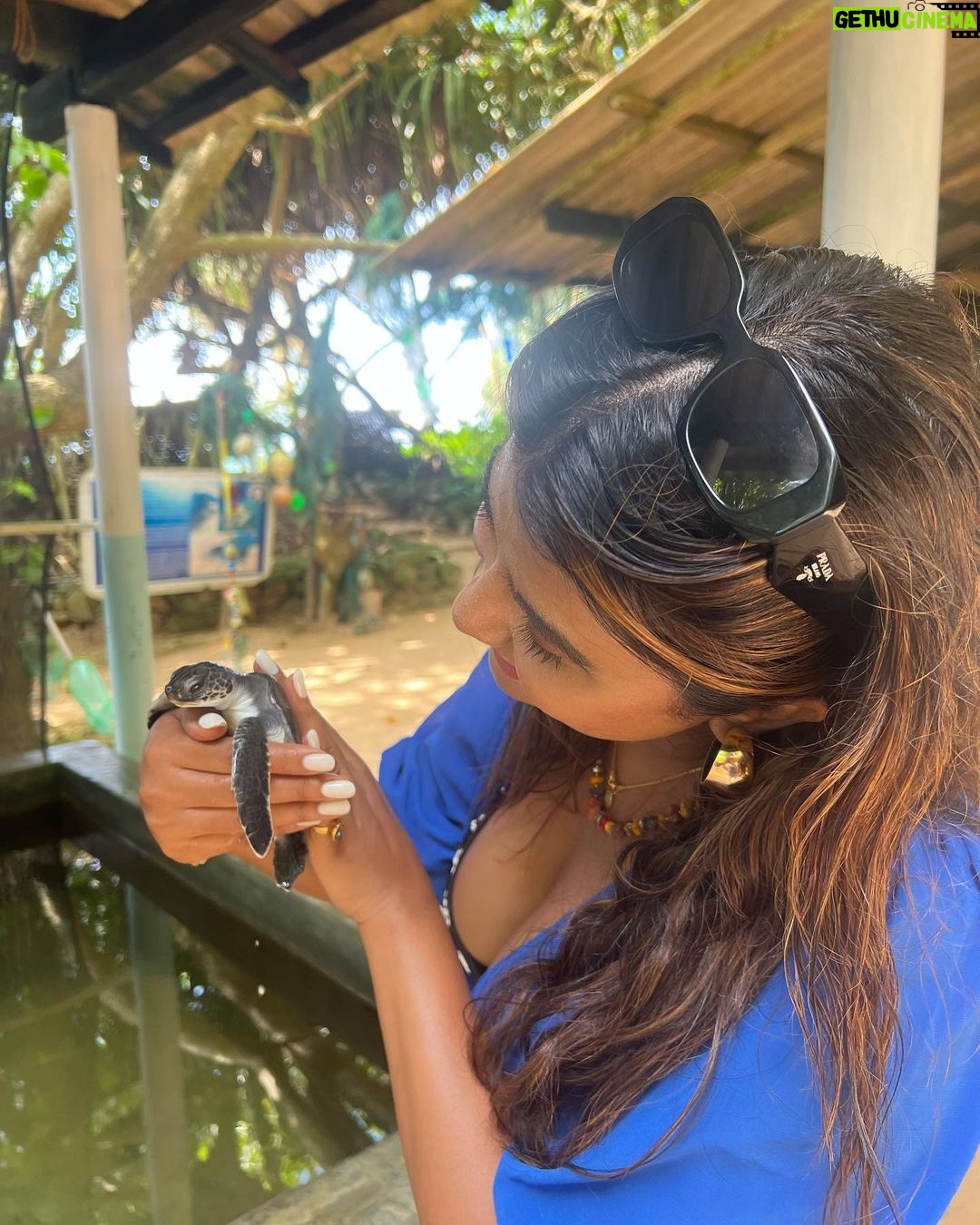 Parno Mittra - 36.2K Likes - The @galbokkaseaturtle is a turtle conservation centre.. they rescue , train and help these beautiful creatures back into the ocean. As humans we can help in many ways but we fail to. Let’s do our bit .