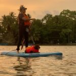 Parvathy Instagram - Super trooper dobster! 🧿 1. Sunset paddle-boarding, bruh! 2. A chill state of mind! (after trying to chase jelly fishes and giving mommy dearest very many heart attacks) 3. ‘Beach, don’t be chasing other dogs and snapping the leash!’, mommy says. 4. Mr. Snifferton just before he went ahead and did exactly what mommy asked him not to (read 3.) 5. Perfect morning picnic avec special hangdrum concert by aunt @rimakallingal Good times! 6. Kayaking, wohoo! Although a bit concerned that mema @athirasujatha was already threatening to bump into us.(volume up) 7. Mommy showed me mangroves and boats! 8. Farmhouse fun-dos with cousin Hazel, Mema @athirasujatha and meman @shameemp86 ! 9. Bunnyhops because dobster is smol. #omatawheee 10. Met aunty @dhanyarajendran’s dog sorry cat Twixie. Mixed emotions were felt.