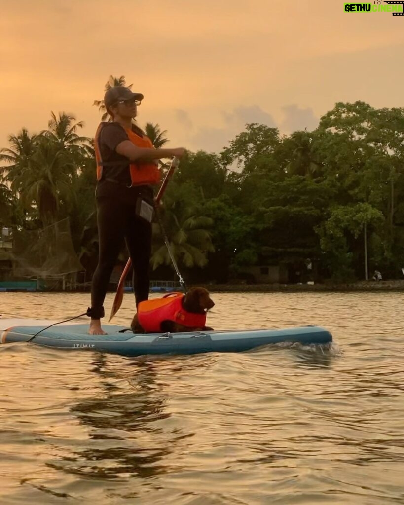 Parvathy Instagram - Super trooper dobster! 🧿 1. Sunset paddle-boarding, bruh! 2. A chill state of mind! (after trying to chase jelly fishes and giving mommy dearest very many heart attacks) 3. ‘Beach, don’t be chasing other dogs and snapping the leash!’, mommy says. 4. Mr. Snifferton just before he went ahead and did exactly what mommy asked him not to (read 3.) 5. Perfect morning picnic avec special hangdrum concert by aunt @rimakallingal Good times! 6. Kayaking, wohoo! Although a bit concerned that mema @athirasujatha was already threatening to bump into us.(volume up) 7. Mommy showed me mangroves and boats! 8. Farmhouse fun-dos with cousin Hazel, Mema @athirasujatha and meman @shameemp86 ! 9. Bunnyhops because dobster is smol. #omatawheee 10. Met aunty @dhanyarajendran’s dog sorry cat Twixie. Mixed emotions were felt.