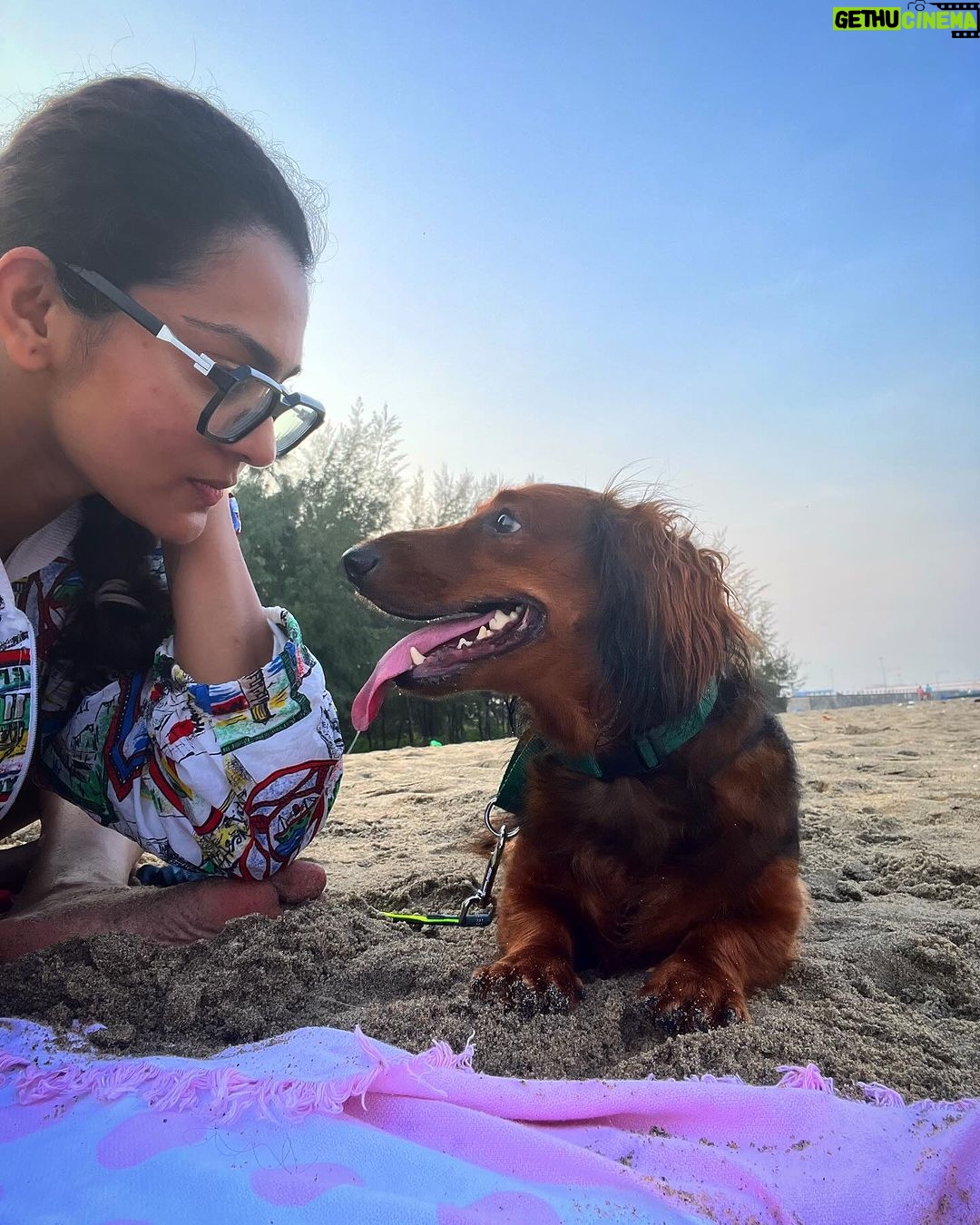 Parvathy Instagram - Super trooper dobster! 🧿 1. Sunset paddle-boarding, bruh! 2. A chill state of mind! (after trying to chase jelly fishes and giving mommy dearest very many heart attacks) 3. ‘Beach, don’t be chasing other dogs and snapping the leash!’, mommy says. 4. Mr. Snifferton just before he went ahead and did exactly what mommy asked him not to (read 3.) 5. Perfect morning picnic avec special hangdrum concert by aunt @rimakallingal Good times! 6. Kayaking, wohoo! Although a bit concerned that mema @athirasujatha was already threatening to bump into us.(volume up) 7. Mommy showed me mangroves and boats! 8. Farmhouse fun-dos with cousin Hazel, Mema @athirasujatha and meman @shameemp86 ! 9. Bunnyhops because dobster is smol. #omatawheee 10. Met aunty @dhanyarajendran’s dog sorry cat Twixie. Mixed emotions were felt.
