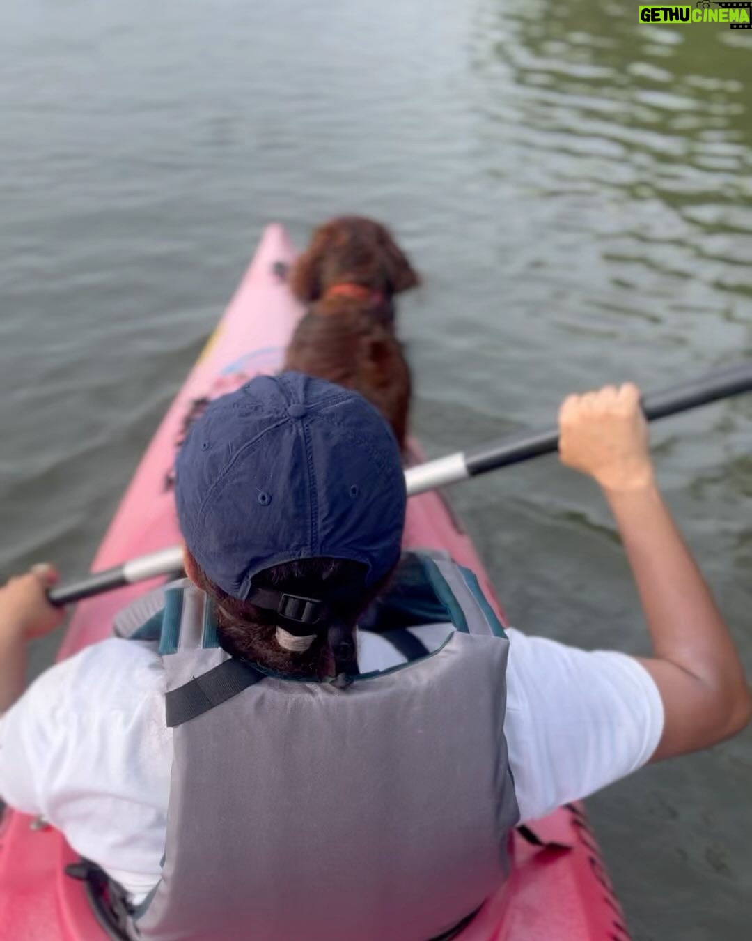 Parvathy Instagram - Super trooper dobster! 🧿 1. Sunset paddle-boarding, bruh! 2. A chill state of mind! (after trying to chase jelly fishes and giving mommy dearest very many heart attacks) 3. ‘Beach, don’t be chasing other dogs and snapping the leash!’, mommy says. 4. Mr. Snifferton just before he went ahead and did exactly what mommy asked him not to (read 3.) 5. Perfect morning picnic avec special hangdrum concert by aunt @rimakallingal Good times! 6. Kayaking, wohoo! Although a bit concerned that mema @athirasujatha was already threatening to bump into us.(volume up) 7. Mommy showed me mangroves and boats! 8. Farmhouse fun-dos with cousin Hazel, Mema @athirasujatha and meman @shameemp86 ! 9. Bunnyhops because dobster is smol. #omatawheee 10. Met aunty @dhanyarajendran’s dog sorry cat Twixie. Mixed emotions were felt.
