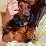 Parvathy Instagram - 🧿 Dobby Thiruvothu turns three today! 🥹♥️ I’ll be reading out birthday wishes to him if you’re sending one. 📸 @shekhar_athul