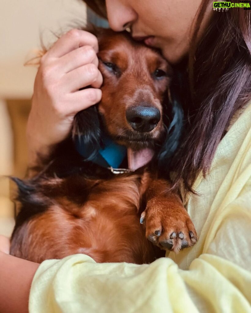 Parvathy Instagram - 🧿 Dobby Thiruvothu turns three today! 🥹♥️ I’ll be reading out birthday wishes to him if you’re sending one. 📸 @shekhar_athul