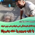 Parviz Parastouei Instagram - . پایین بودنِ درآمد بسیاری از خانواده ها و ناتوانی پدران و مادران در تامین نیازهای فرزندان، مشکلات زیادی برای آنها ایجاد مینماید … تنگدستی والدین در تامینِ معیشت فرزندانشان، فشار روانی به مراتب سنگین تر و آزاردهنده تری برای ایشان نسبت به محدودیتهای مالی دارد … +شماره شبا؛ ‏IR600120020000008768607317🧮 +شماره کارت؛ 💳 6104337811235256 شماره حسابهای ارزی-دلاری؛+ 💵397.160.13916823.1 🧮Ir710570039771613916823101 شماره حساب ارزی-یورویی+ 💶397.160.13916823.2 🧮Ir710570039771613916823102 @palivar1 @mehr_va_mah1172 @emamaliinstitute
