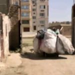 Parviz Parastouei Instagram - . با کمک نیکوکاران ، نزدیک به پنج هزار کیف و لوازم التحریر تا کنون میان خانواده های کم بضاعت توزیع کرده ایم. ولی هنوز فراوانند خانواده هایی که بدلیل نداشتنِ توانِ تامین هزینه یِ تحصیل کودکانشان، آنها را به مدرسه نفرستاده اند … آنها را ببینیم و در حد توان کنارشان باشیم. شماره حساب بانک ملت موسسه خادمین علی بن ابیطالب : ۸۷۶۸۶۰۷۳۱۷ شبا: ‏IR600120020000008768607317 کارت بانک مجازی ۶۱۰۴۳۳۷۸۱۱۲۳۵۲۵۶ ‏IR-MCI: *۷۸۰*۱۴۵۲# ‏@emamaliinstitute #موسسه_خادمین_علی_بن_ابیطالب #روستاهای_مرزی #مدرسه_سازی#خانه_سازی #مردم_بی_شناسنامه #طرح_درآمد_خانوار #گبه_بافی#قالیبافی #کپرنشینان #زورخانه#palivar1 #بیخانمانها#کودکان_بد_سرپرست #کودکان_بی_سرپرست #مرکز_شبه_خانواده #خانواده_مهر_و_ماه @emamaliinstitute @palivar1 @mehr_va_mah1172