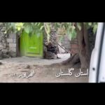 Parviz Parastouei Instagram – .
مادرانی که برای نگهداری و حمایت از کودکانِ معلولِ ذهنی شان، همه یِ عمرشان را با رنج و تلاش به پای ایشان میریزند …
شماره حساب بانک ملت موسسه 
خادمین علی بن ابیطالب :
۸۷۶۸۶۰۷۳۱۷
شبا:
‏IR600120020000008768607317
کارت بانک مجازی
۶۱۰۴۳۳۷۸۱۱۲۳۵۲۵۶
‏IR-MCI:
*۷۸۰*۱۴۵۲#
‏@emamaliinstitute
#موسسه_خادمین_علی_بن_ابیطالب
#روستاهای_مرزی
#مدرسه_سازی#خانه_سازی
#مردم_بی_شناسنامه
 #طرح_درآمد_خانوار
#گبه_بافی#قالیبافی
#کپرنشینان #زورخانه#palivar1
#بیخانمانها#کودکان_بد_سرپرست
#کودکان_بی_سرپرست
#مرکز_شبه_خانواده
#خانواده_مهر_و_ماه

@emamaliinstitute
@palivar1
@mehr_va_mah1172