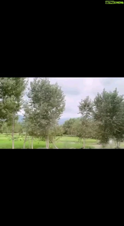 Parviz Parastouei Instagram - . کودکان بی سرپرست و بدسرپرستی که به مراکز شبه خانواده می آیند، بیش از هر چیز دیگری به توجه نیاز دارند … تصاویر مربوط به برنامه جنگل رفتنِ کودکانِ مهر و ماه(خانواده دوم و سوم) است … شماره حساب بانک ملت موسسه خادمین علی بن ابیطالب : ۸۷۶۸۶۰۷۳۱۷ شبا: IR600120020000008768607317 کارت بانک مجازی ۶۱۰۴۳۳۷۸۱۱۲۳۵۲۵۶ IR-MCI: *۷۸۰*۱۴۵۲# @emamaliinstitute #موسسه_خادمین_علی_بن_ابیطالب #روستاهای_مرزی #مدرسه_سازی#خانه_سازی #مردم_بی_شناسنامه #طرح_درآمد_خانوار #گبه_بافی#قالیبافی #کپرنشینان #زورخانه#palivar1 #بیخانمانها#کودکان_بد_سرپرست #کودکان_بی_سرپرست #مرکز_شبه_خانواده #خانواده_مهر_و_ماه @emamaliinstitute @palivar1 @mehr_va_mah1172