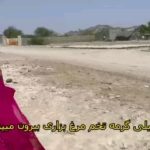 Parviz Parastouei Instagram – .
تحمل گرمای هوا در روستاهای اطراف چابهار بخصوص در نقاط مرزی ایران و پاکستان آسان نیست. بویژه اگر این گرما با بی آبی همراه باشد! …
فقر و محرومیتی که در نقاط مختلف کشور وجود دارد ، ضمن وجوه مشترک،  بدلیل وضعیتِ اقلیمی متفاوت در هر نقطه از ایران ، ویژگیهای خاص خود را نیز داراست.  از حمایت شما نیکوکاران عزیز سپاسگزاریم. 
شماره حساب بانک ملت موسسه 
خادمین علی بن ابیطالب :
۸۷۶۸۶۰۷۳۱۷
شبا:
‏IR600120020000008768607317
کارت بانک مجازی
۶۱۰۴۳۳۷۸۱۱۲۳۵۲۵۶
‏IR-MCI:
*۷۸۰*۱۴۵۲#
‏@emamaliinstitute
#موسسه_خادمین_علی_بن_ابیطالب
#روستاهای_مرزی
#مدرسه_سازی#خانه_سازی
#مردم_بی_شناسنامه
 #طرح_درآمد_خانوار
#گبه_بافی#قالیبافی
#کپرنشینان #زورخانه#palivar1
#بیخانمانها#کودکان_بد_سرپرست
#کودکان_بی_سرپرست
#مرکز_شبه_خانواده
#خانواده_مهر_و_ماه
@emamaliinstitute
@palivar1
@mehr_va_mah1172