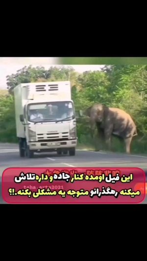 Parviz Parastouei Instagram - ((بدون شرح))
لطفا نظر و احساستون و بعد از دیدن این ویدیو بصورت کامنت بیان کنید🙏