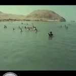 Parviz Parastouei Instagram - . تو بمان ای آن که چون تو پاک نیست دریاچه ارومیه با قدمت ۱۳ هزار ساله! دریاچه ای پراز خاطراتِ به یادگار مانده از انسان هایی که تن به آب این دریاچه زدن! والان چند سال است که حال این دریاچه خوب نیست بارها عمق آب کم شده و دوباره به حال خود برگشته و خود دریاچه با این بیماری که شاید دست آدم ها هم دخیل بوده مبارزه کرده ! وحالا خبر از خشک شدن کامل این دریاچه به گوشمان میرسد! مثل انسانی که دکتر ها از او قطع امید می کنند! اگر به عمق دریاچه فکر کنیم ،شاید هنوز قلبش برای طبیعت، برای زیبایی هایی که آفریده، برای انسان که نیازبه این آب پاک دریاچه دارد! به قول معروف نفس های آخر را در عمق می کشد ولی ما روی دریاچه فقط خشکی را شاهدیم! اگر مدیریت انسانی عوامل آسیب زای دریاچه ارومیه را از بین ببرد ،می توان امیدوار بود که دریاچه ارومیه مرحله به مرحله مانند سابق احیا شود... این آدم های دوپا،چی از جون محیط زیست ،حیاط وحش دریاچه ارومیه میخوان؟ کارد به این شکم بخوره که برای پر کردنش از هیچ چیزی دریغ نمی کنند! در جاهای دیگه دریاچه مصنوعی می‌سازند ماکمر به قتل همه چیز بستیم ... آدمی آه دمی! پس دم را غنیمت بشمریم...