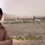 Parviz Parastouei Instagram - . زندگی در روستاهای کپرنشین اطراف زاهدان ، آنهم بدون آب و برق موجب شده کمتر معلمی بتواند در کنار مردم کپرنشین بدون هیچ امکاناتی زندگی کند … این یعنی آرزوی با سواد شدن کودکان کپرنشین علیرغم ساخت مدرسه از سوی نیکوکاران بر باد میرود … شماره حساب بانک ملت موسسه خادمین علی بن ابیطالب : ۸۷۶۸۶۰۷۳۱۷ شبا: ‏IR600120020000008768607317 کارت بانک مجازی ۶۱۰۴۳۳۷۸۱۱۲۳۵۲۵۶ ‏IR-MCI: *۷۸۰*۱۴۵۲# ‏@emamaliinstitute #موسسه_خادمین_علی_بن_ابیطالب #روستاهای_مرزی #مدرسه_سازی#خانه_سازی #مردم_بی_شناسنامه #طرح_درآمد_خانوار #گبه_بافی#قالیبافی #کپرنشینان #زورخانه#palivar1 #بیخانمانها#کودکان_بد_سرپرست #کودکان_بی_سرپرست #مرکز_شبه_خانواده #خانواده_مهر_و_ماه @emamaliinstitute @palivar1 @mehr_va_mah1172