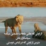 Parviz Parastouei Instagram – .
از اونی که علنی باهات دشمنی میکنه
سپاسگزارباش 
بترس از اونی که در لباس دوستی 
باهات دشمنه…
به قول معروف :
من از بیگانگان هرگز ننالم 
که بامن هرچه کرد آن آشنا کرد…!!!