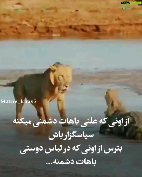 Parviz Parastouei Instagram - . از اونی که علنی باهات دشمنی میکنه سپاسگزارباش بترس از اونی که در لباس دوستی باهات دشمنه... به قول معروف : من از بیگانگان هرگز ننالم که بامن هرچه کرد آن آشنا کرد...!!!