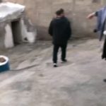 Parviz Parastouei Instagram - . دو تا بچه یِ نابینا و خانه با این شرایط که در تصویر میبینید …. شرایط روستانشینان ما که دارای فرزندان معلول(توانخواه)و یانابینا هستند، برای زندگی در روستا بسیار دشوار است. +شماره شبا؛ ‏IR600120020000008768607317🧮 +شماره کارت؛ 💳 6104337811235256 شماره حسابهای ارزی-دلاری؛+ 💵397.160.13916823.1 🧮Ir710570039771613916823101 شماره حساب ارزی-یورویی+ 💶397.160.13916823.2 🧮Ir710570039771613916823102 @palivar1 @mehr_va_mah1172 @emamaliinstitute