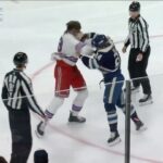 Pat McAfee Instagram – HOLY SHIT 🥊🥊

#HockeyIsAwesome

🎥: @nhl