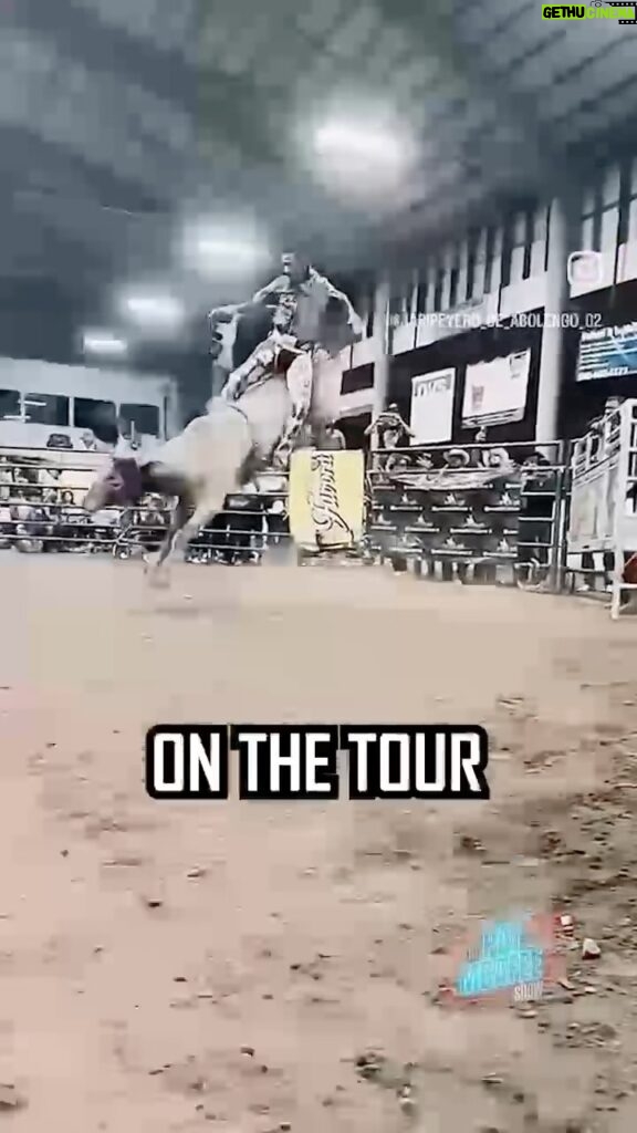 Pat McAfee Instagram - GET THIS BULL ON THE TOUR PBR