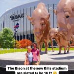 Pat McAfee Instagram - “That’s a big ass Bison.” 😅 —Pat McAfee (via @buffalobills, @patmcafeeshow)