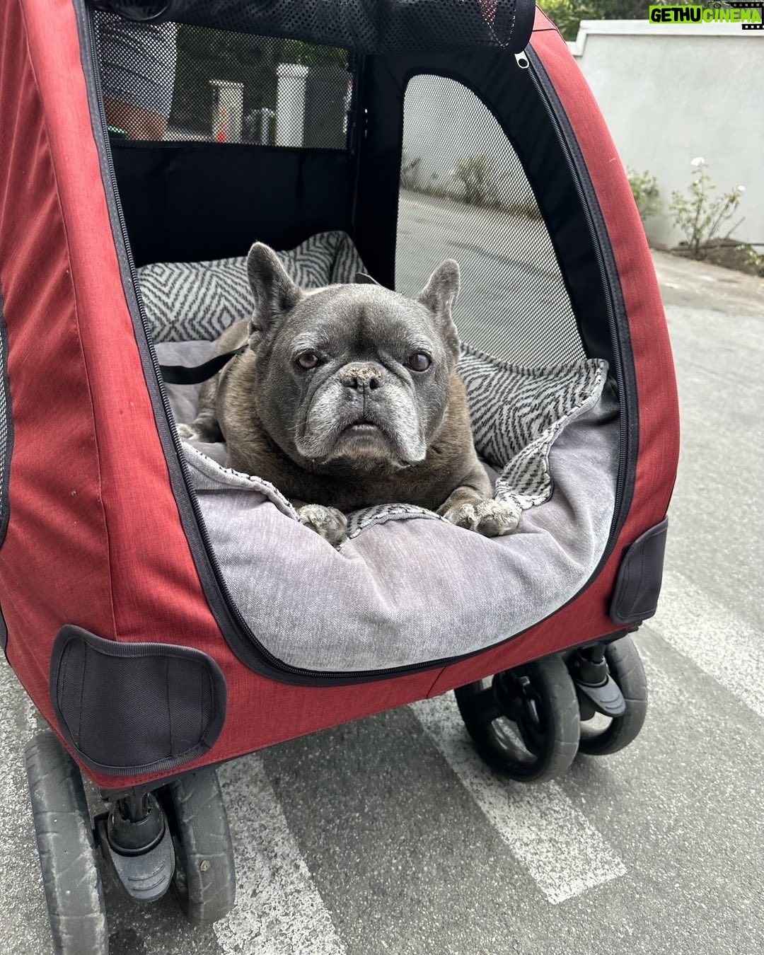 Patrick Dempsey Instagram - Monday’s commute
