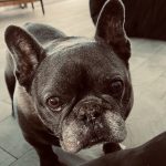 Patrick Dempsey Instagram -