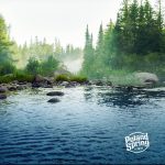 Patrick Dempsey Instagram - On this #WorldConservationDay, I'm proud to partner with Poland Spring Brand 100% Natural Spring Water as they help to conserve springs in the Northeast where their water is sourced, including in my home state of Maine. Their spring team monitors water flows, tracks precipitation levels, and even studies the areas’ biodiversity to help ensure the springs and surrounding areas are sustainably managed, to get the highest quality water delivered directly to you. @polandspringwtr #DrinkPolandSpring #PolandSpring