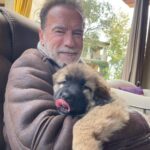 Patrick Schwarzenegger Instagram - What can’t you do? Love you ArnOLD. 75. Damn. HAPPY BIRTHDAY @schwarzenegger