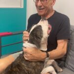 Patrick Stewart Instagram - Had a busy day today at @wagsandwalks. They’ve saved the lives of 10,000 dogs since their founding, and I’m personally so grateful for all the foster dog love they’ve brought to my life over the years. Join me in supporting them and your local shelter this #DogDay. WagsandWalks.org
