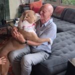 Patrick Stewart Instagram - Before #PitBullAwarenessMonth comes to a close, thought I’d share a HUG from our friend Lily and a few moments of bliss with three of our cherished foster loves Ginger, Emma, and sweet Lenny. @lilybug_lpb @ASPCA @WagsAndWalks @RSPCA