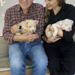 Patrick Stewart Instagram - Lenny was a 10 year old pitbull mix we fostered last summer. Sadly, he began exhibiting signs of pneumonia shortly after arriving at our home and while he fought a hard battle, was not able to overcome his sickness. We loved him so dearly during his short time with us that we launched #LennysLegacy with our friends at @WagsAndWalks. Together we have saved 400+ seniors and pitbulls in need this year alone in Lenny’s honor. Today for#GivingTuesday I am matching all donations up to $10,000 to continue Lenny’s Legacy. Every dollar helps Wags & Walks save more pups and will support saving senior dogs from high-kill shelters. Donate here (Link in bio) for today's match: https://wwgivingtuesday.funraise.org/