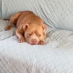 Patrick Stewart Instagram -