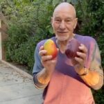 Patrick Stewart Instagram - Leave a comment on @MadameOzell’s mango Instagram post if you know the answer.