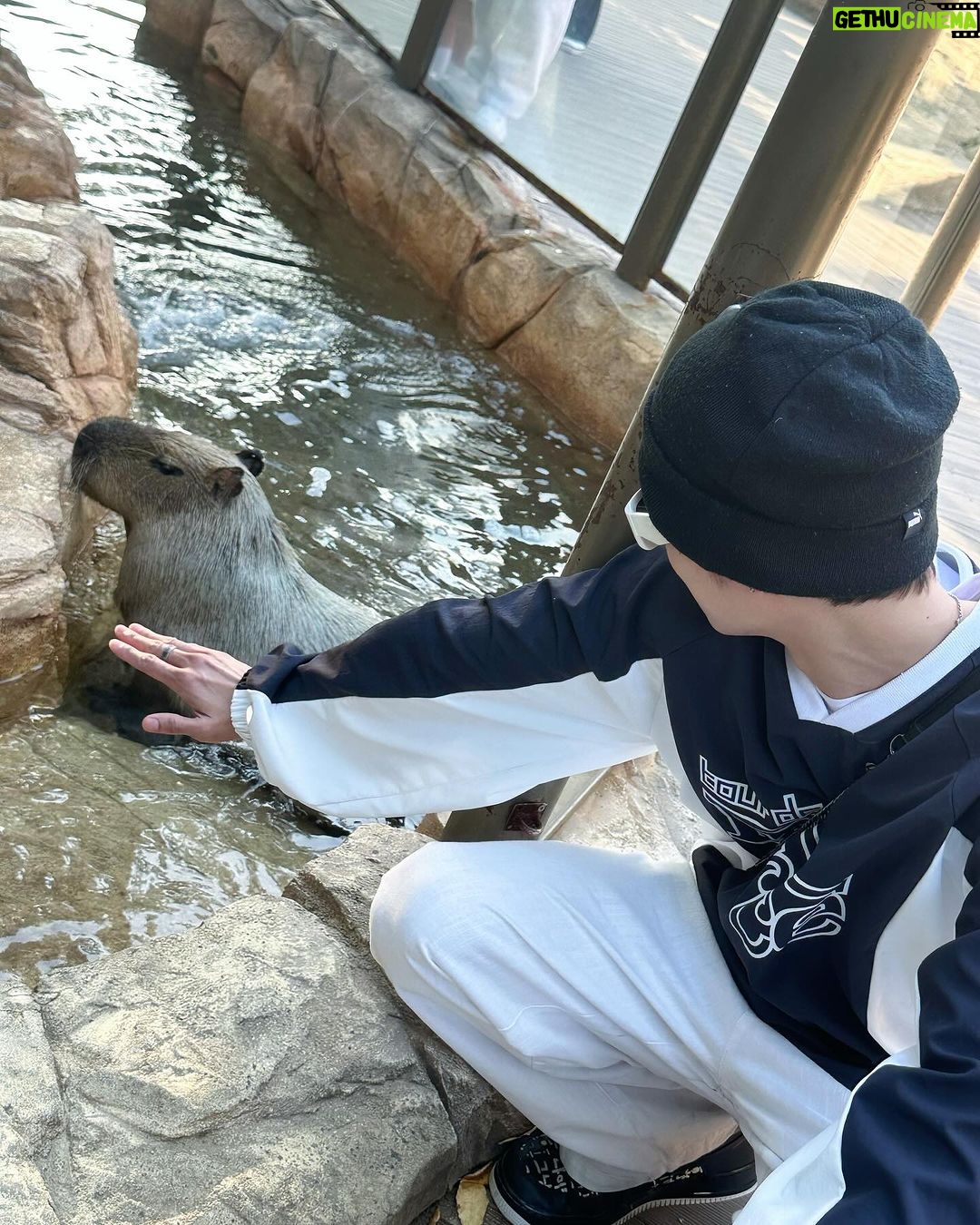 Patsit Permpoonsavat Instagram - เพิ่งกลับมาเอง อยากหนีเที่ยวอีกล้าา 😉 Everland Theme Park, Seoul Korea